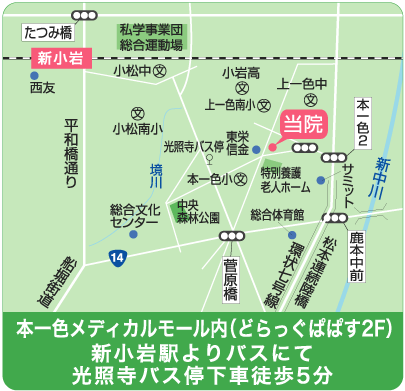 地図　本一色メディカルモール内（どらっぐぱぱす２F）、新小岩駅よりバスにて光照寺バス停下車徒歩５分